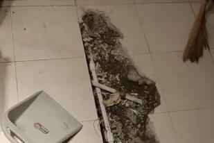 依安卫生间漏水检测电话